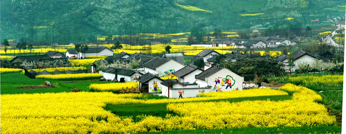 鄉村旅游發展